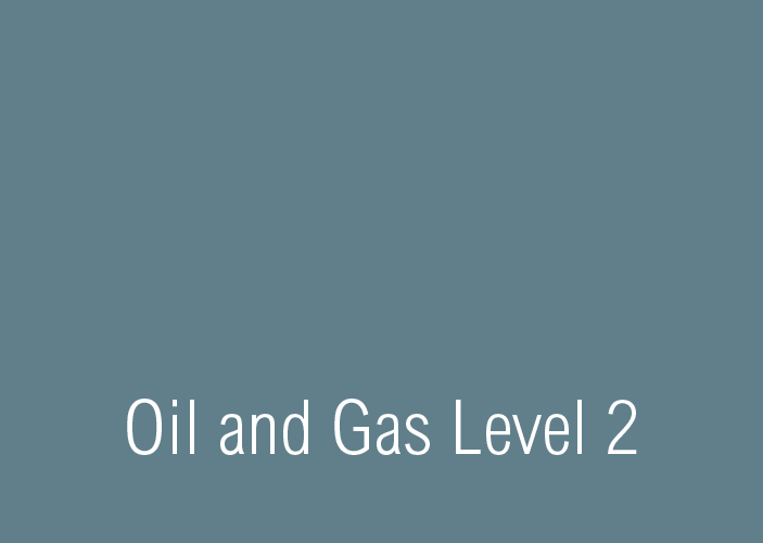 Petróleo e Gás Nível 2